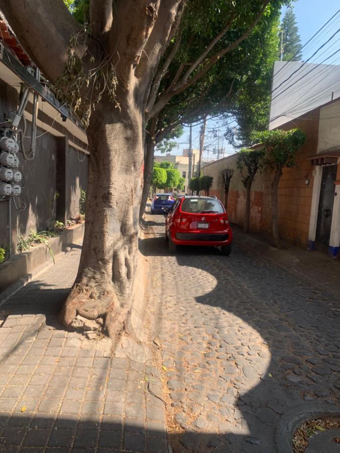 Coyoacan Magico Ciudad de México Exteriér fotografie